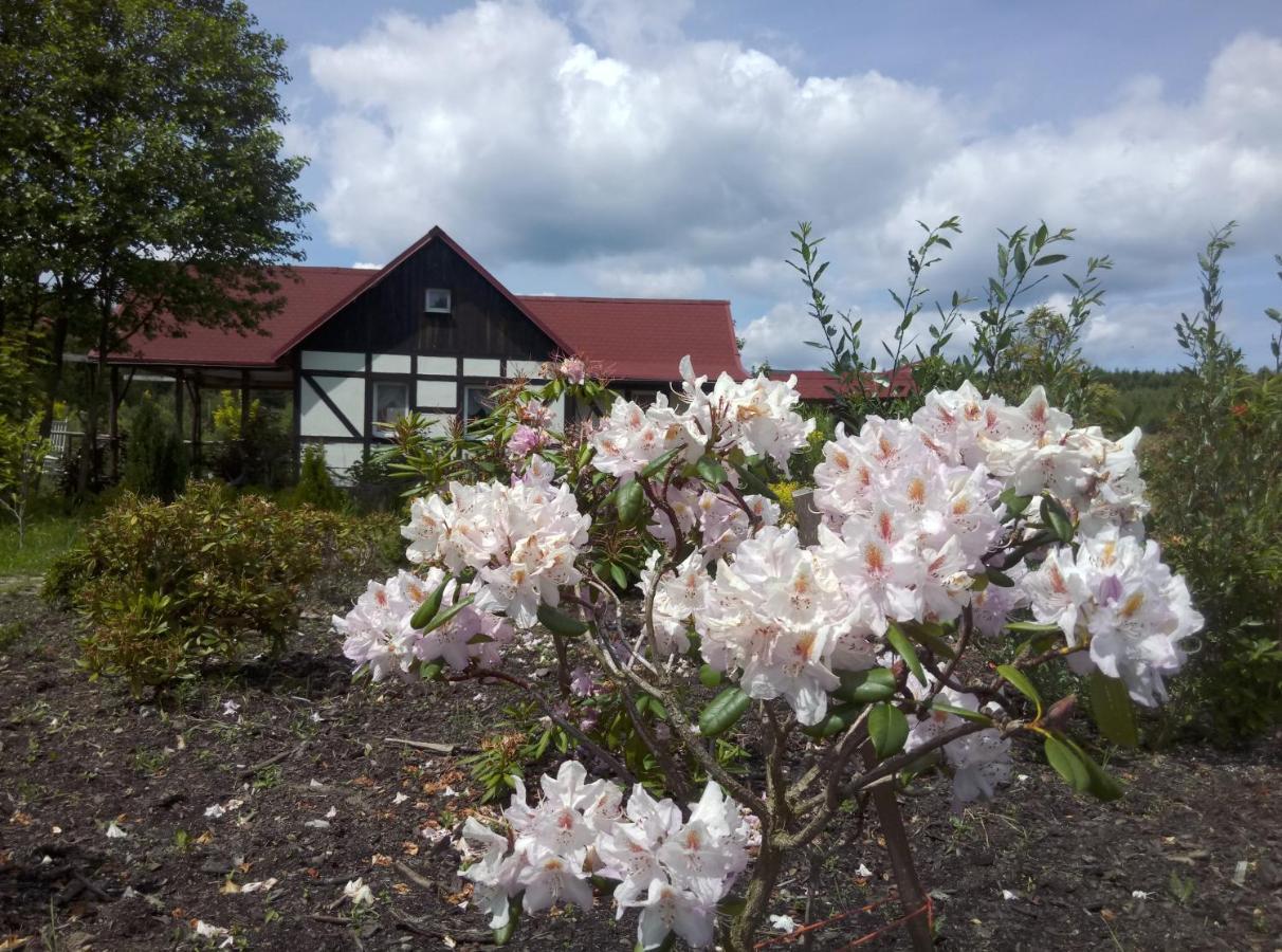 Dom Rybaka Villa Mirosławiec Eksteriør bilde